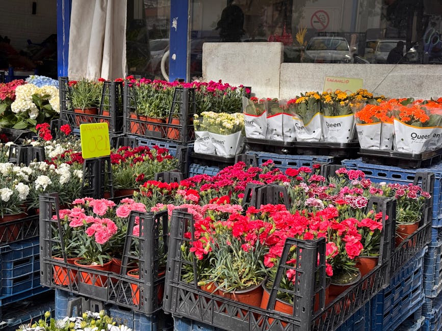 An outdoor display of flower arrangements and potted plants featuring bright pink, red, white, yellow, and orange blooms, including carnations, chrysanthemums, and other seasonal flowers. The flowers 